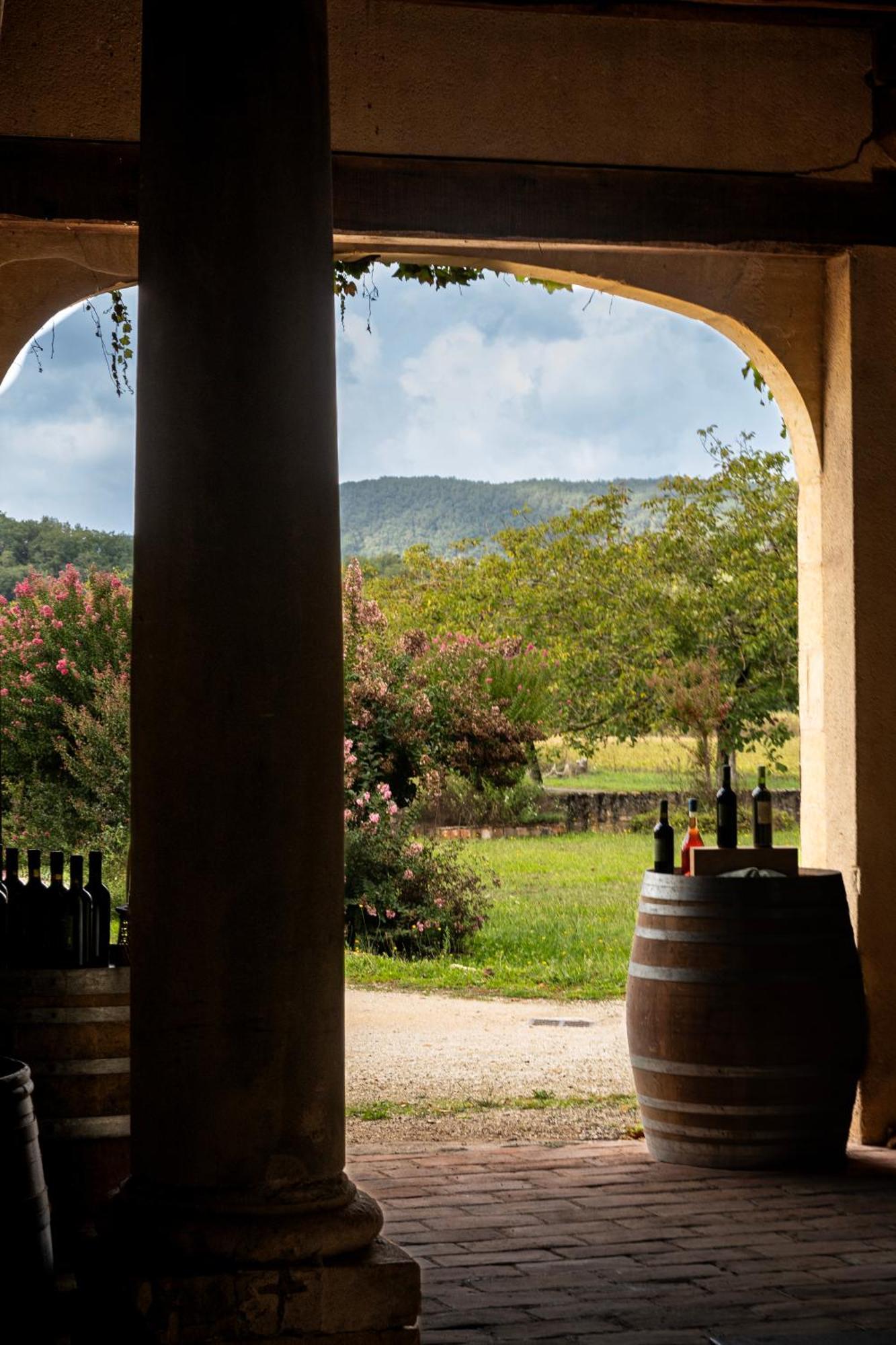 Chateau La Gineste - Castle And Vineyard Duravel ภายนอก รูปภาพ